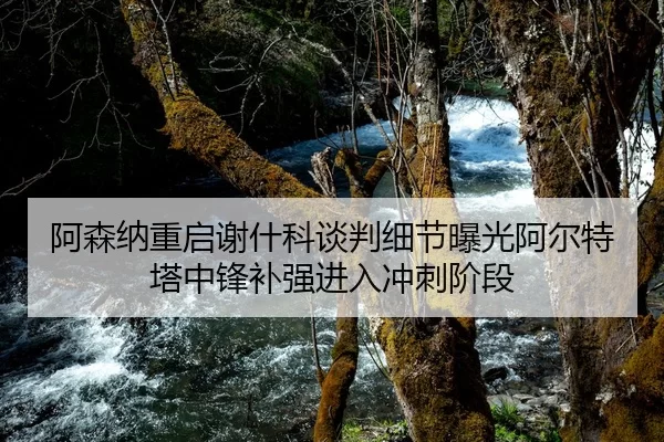 阿森纳重启谢什科谈判细节曝光阿尔特塔中锋补强进入冲刺阶段