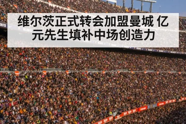football stadium crowd