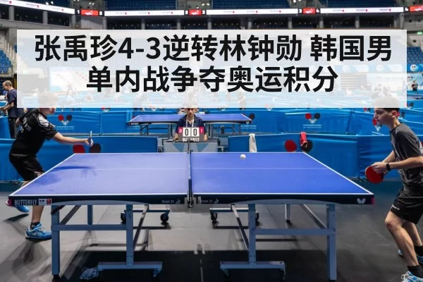 张禹珍4-3逆转林钟勋 韩国男单内战争夺奥运积分